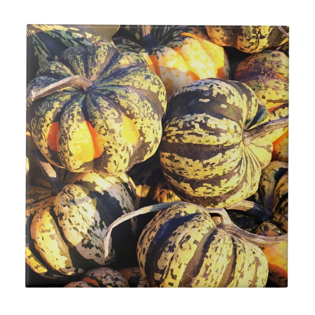 Close Up Stripey Pumpkins  Tile (Front)