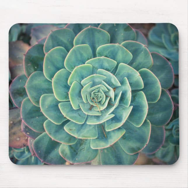 Close-up Succulent Mouse Mat (Front)