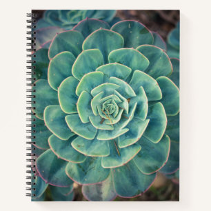 Close-up Succulent Notebook