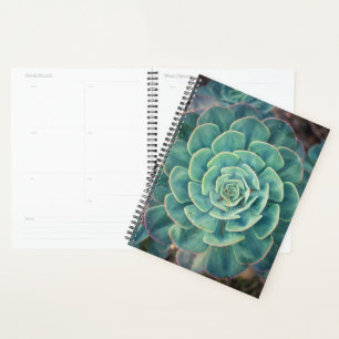 Close-up Succulent Planner