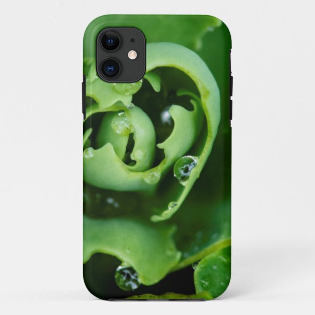 Close-up, succulent plant with water droplets Case-Mate iPhone case (Back)