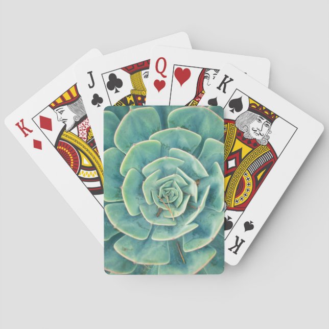 Close-up Succulent Playing Cards (Back)