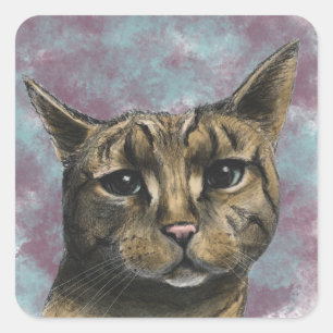 Close Up Tabby Cat Realistic Drawing Square Sticker