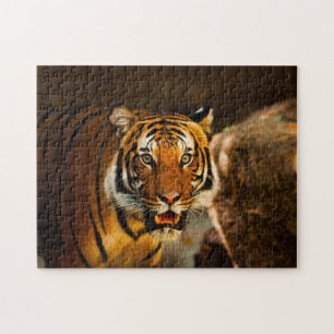 Close-up Tiger Jigsaw Puzzle