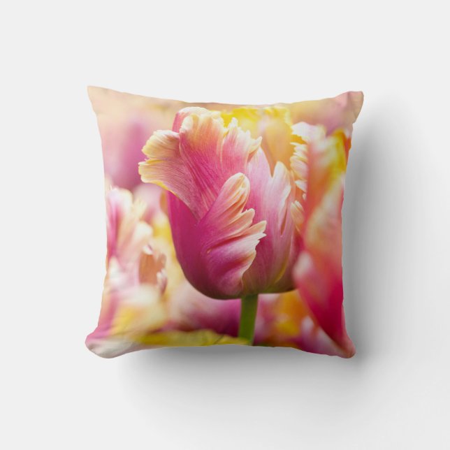 Close-up Tulips Cushion (Front)
