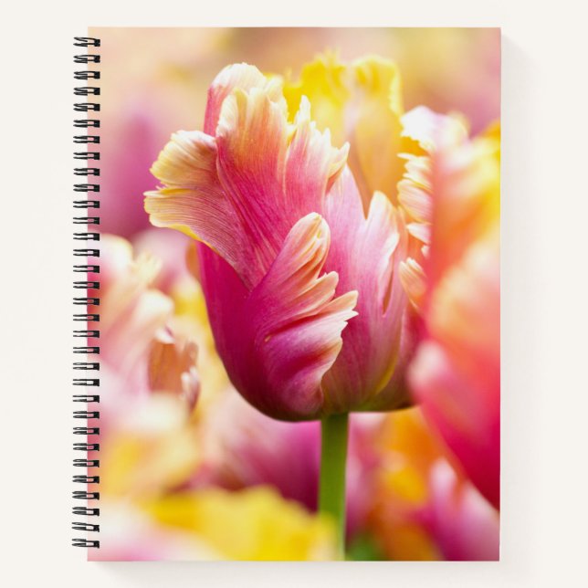 Close-up Tulips Notebook (Front)