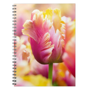 Close-up Tulips Notebook