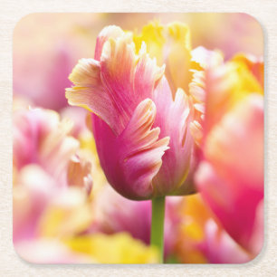 Close-up Tulips Square Paper Coaster