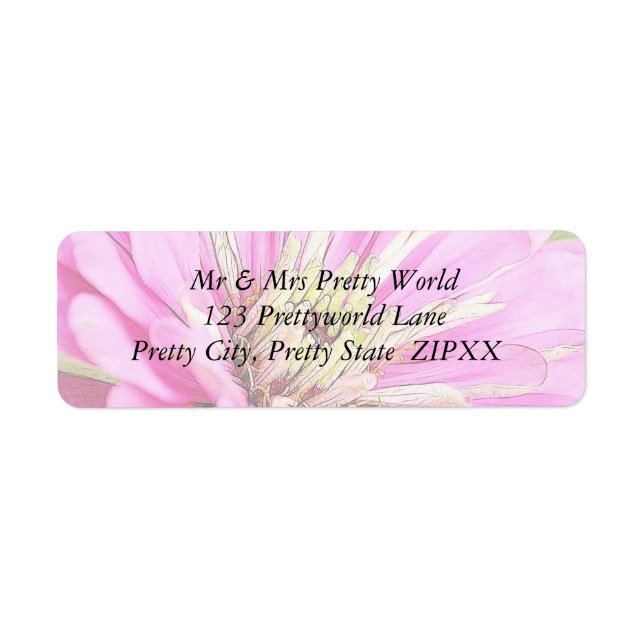 Close-up view of a delicate pink zinnia (Front)