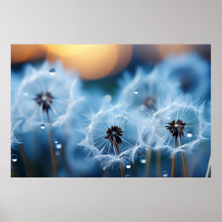 Close-up View of Dandelions with Water Droplets Poster