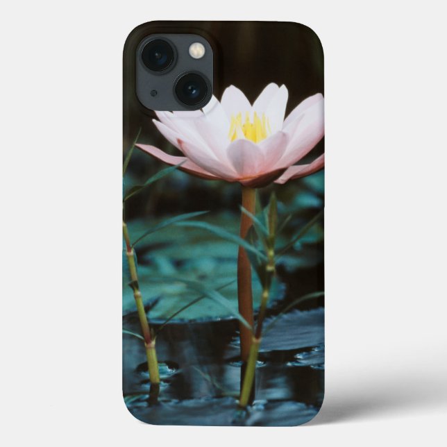 Close-Up view of Water Lily at Inle Lake Case-Mate iPhone Case (Back)