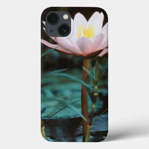 Close-Up view of Water Lily at Inle Lake iPhone 13 Case