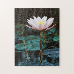 Close-Up view of Water Lily at Inle Lake Jigsaw Puzzle