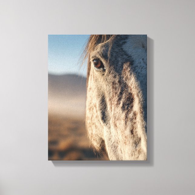 Close-Up White Horse Sunrise Portrait Canvas Print (Front)