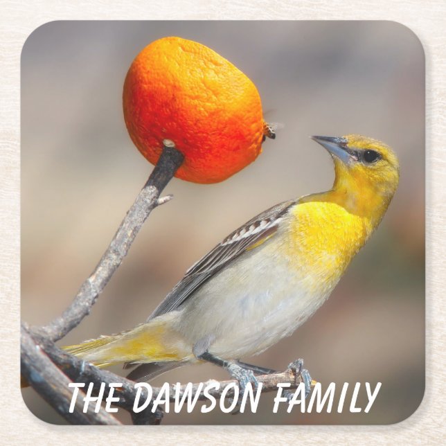 Close-up Wild Bird Square Paper Coaster (Front)