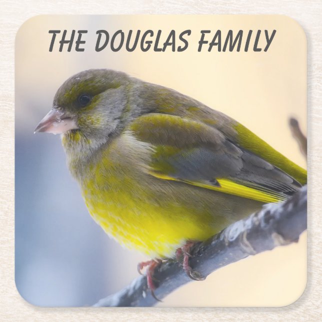 Close-up Wild Bird Square Paper Coaster (Front)