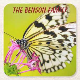 Close-up Wild Butterfly Square Paper Coaster