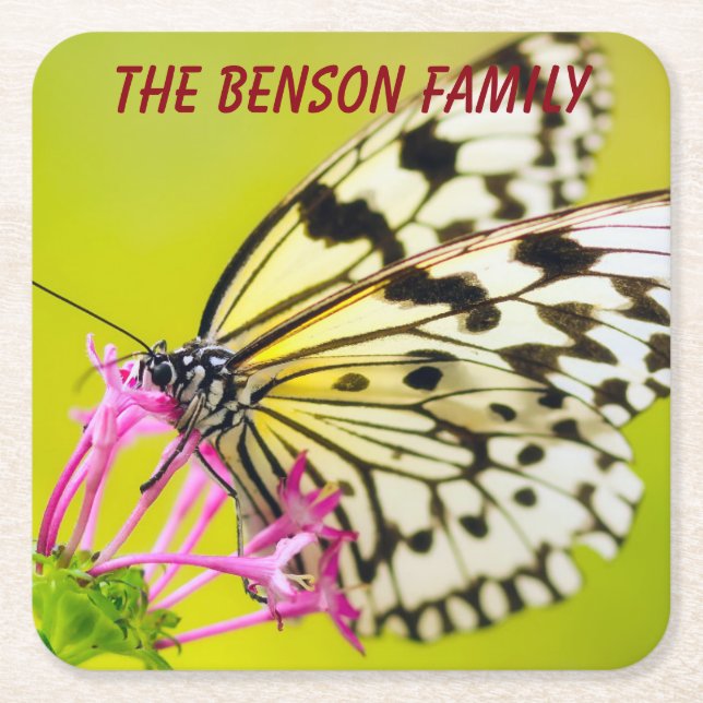Close-up Wild Butterfly Square Paper Coaster (Front)