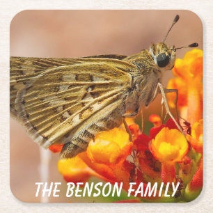 Close-up Wild Moth Square Paper Coaster