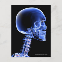 Close up x-ray of the bones in the neck