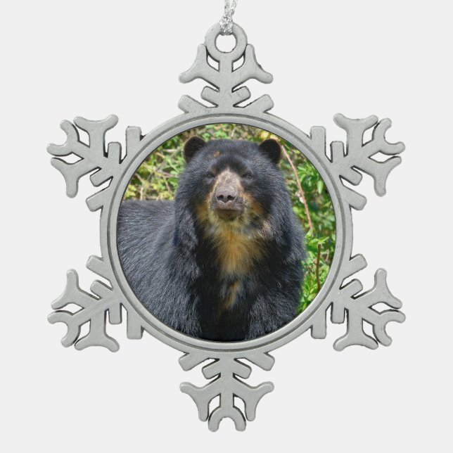 Closeup Andean bear    Snowflake Pewter Christmas Ornament (Front)