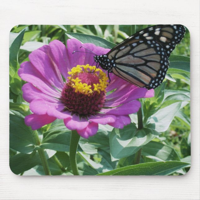 closeup butterfly mouse mat (Front)