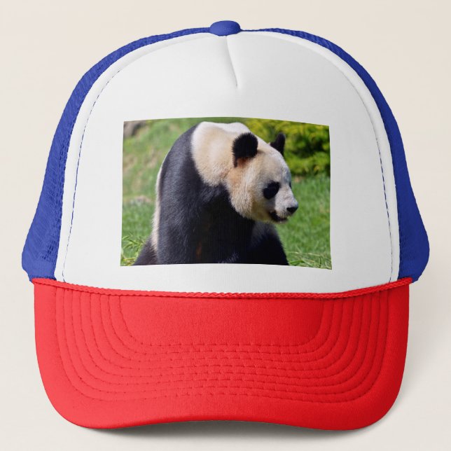 Closeup giant panda seen from profile trucker hat (Front)
