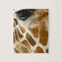 Closeup Giraffe Face Wild Animals Nature Photo