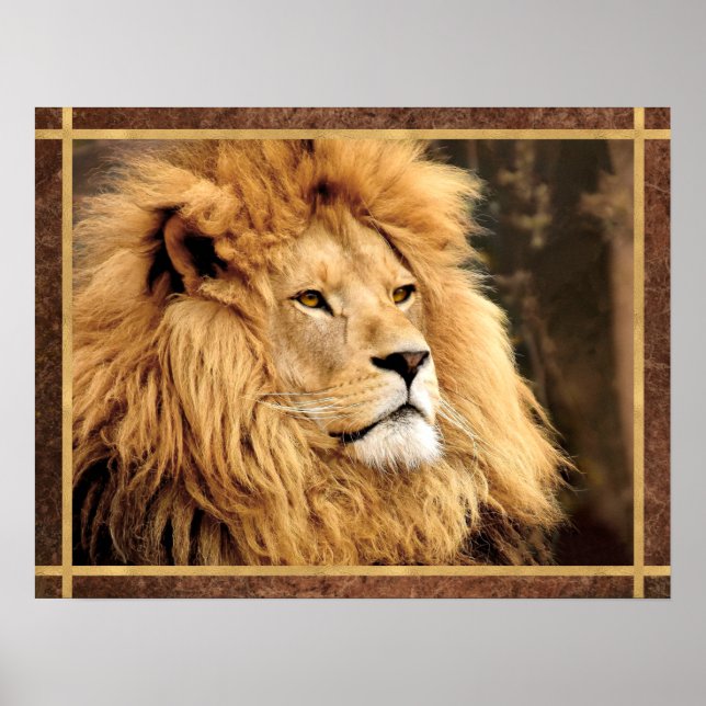 Closeup Lion Photo Poster (Front)
