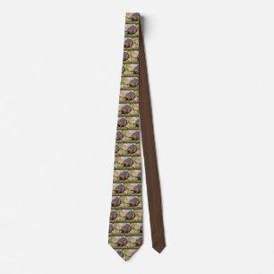 Closeup North American Beaver Tie