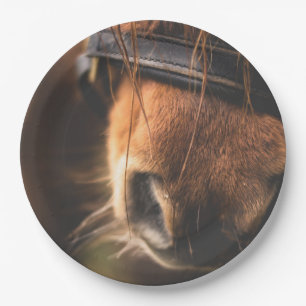 Closeup of a Cute Brown Horse Nose Paper Plate