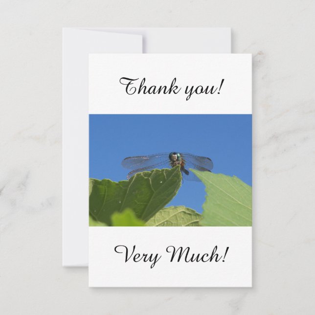 Closeup of a dragonfly against a bright blue sky card (Front)