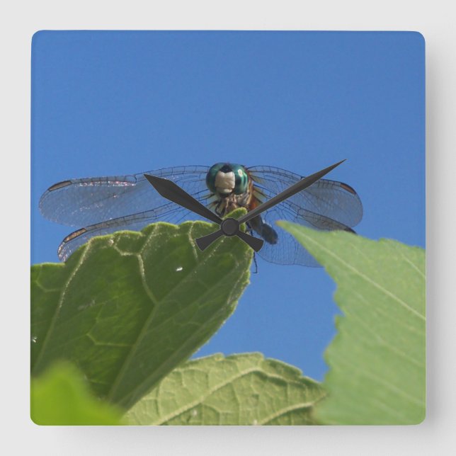 Closeup of a dragonfly against a bright blue sky square wall clock (Front)