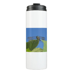 Closeup of a dragonfly against a bright blue sky thermal tumbler