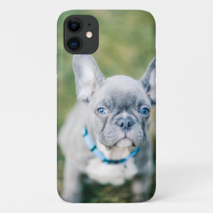 Closeup of a French Bulldog iPhone 11 Case