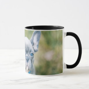 Closeup of a French Bulldog Mug