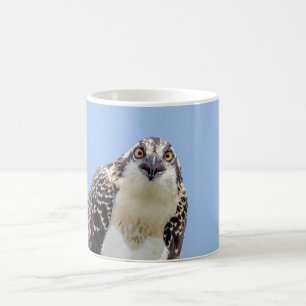 Closeup of a Juvenile Osprey Coffee Mug