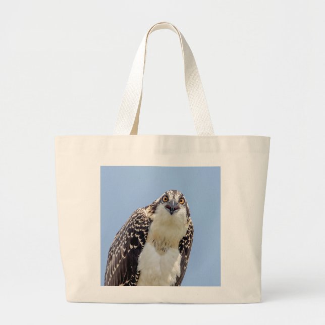 Closeup of a Juvenile Osprey Large Tote Bag (Front)