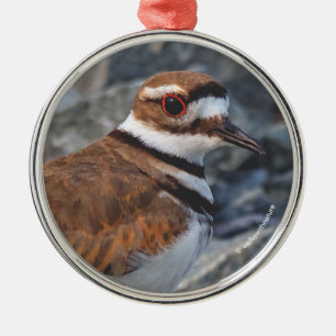 Closeup of a Killdeer Shorebird on the Rocks Metal Tree Decoration