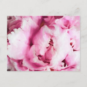 Closeup of a Pink Peony Painting Postcard