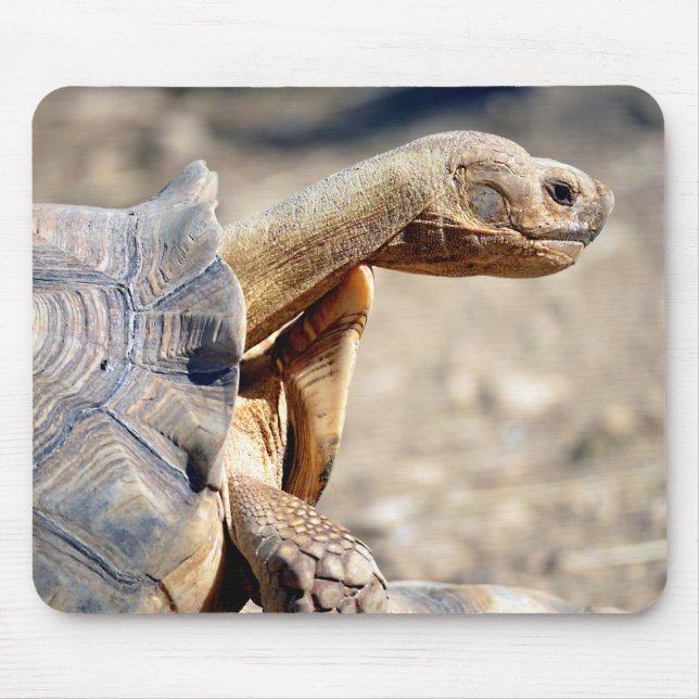 Closeup of African spurred tortoise Mouse Mat (Front)