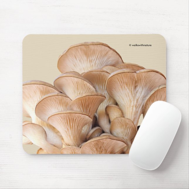 Closeup of An Oyster Mushroom Colony Mouse Mat (With Mouse)