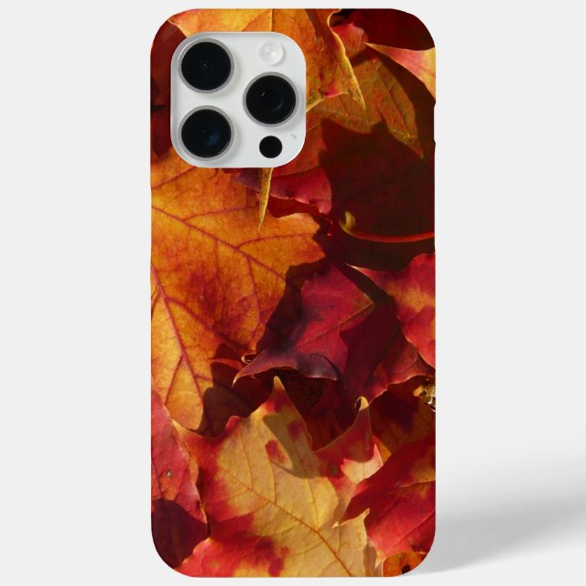 Closeup of Autumn Leaves Case-Mate iPhone Case (Back)