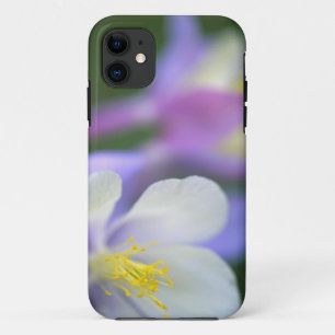 Closeup of Colorado Columbine flower. iPhone 11 Case