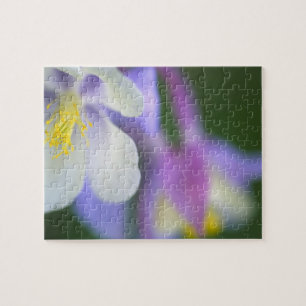 Closeup of Colorado Columbine flower. Jigsaw Puzzle