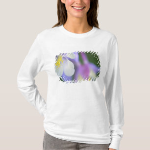 Closeup of Colorado Columbine flower. T-Shirt