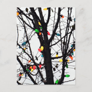 Closeup of colourful Christmas lights on branches Holiday Postcard