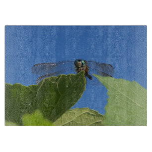 Closeup of dragonfly against bright blue sky on a cutting board