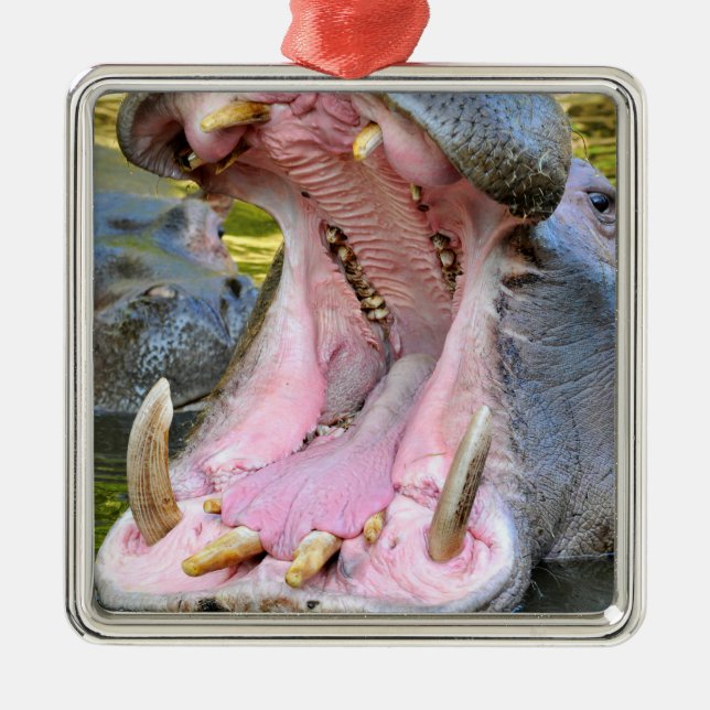 Closeup of hippopotamus open mouth metal tree decoration (Front)