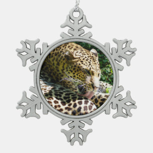 Closeup of Javan leopard licking their hair Snowflake Pewter Christmas Ornament